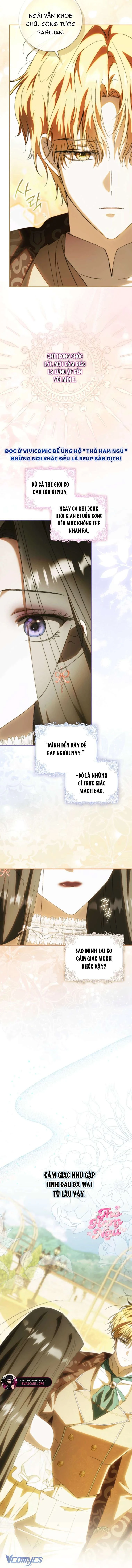 Chồng Tôi Là Bias Số Một, Nhưng Có Vẻ Chúng Tôi Sắp Ly Hôn Chapter 10 - 6