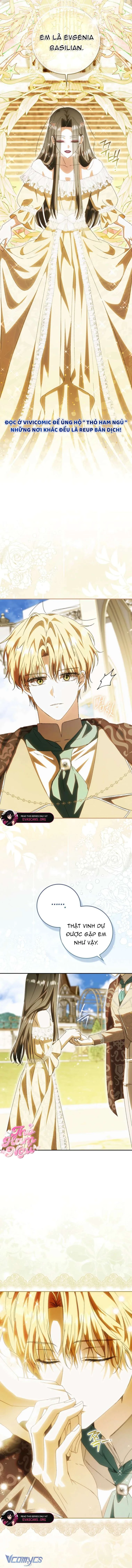 Chồng Tôi Là Bias Số Một, Nhưng Có Vẻ Chúng Tôi Sắp Ly Hôn Chapter 10 - 8