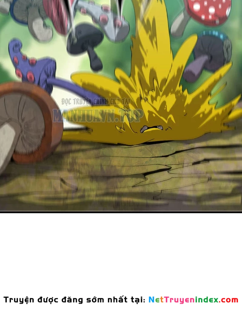 Bắt Đầu Từ Việc Trùng Sinh Thành Niêm Khuẩn Chapter 3 - 5