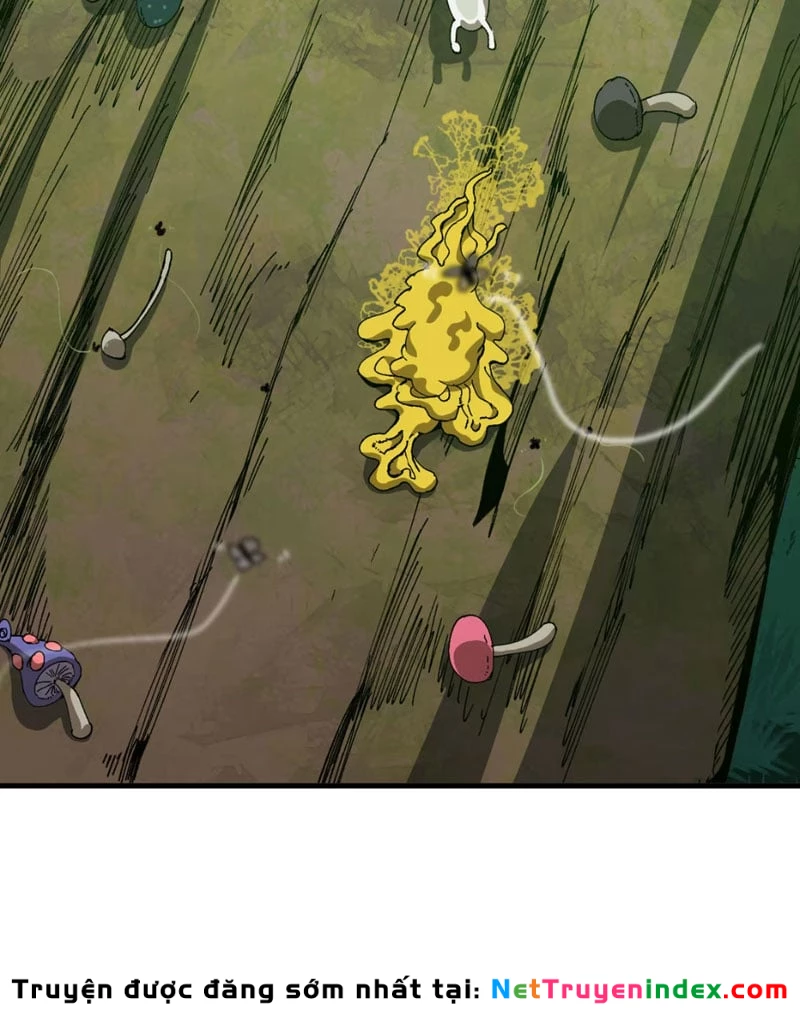 Bắt Đầu Từ Việc Trùng Sinh Thành Niêm Khuẩn Chapter 3 - 39