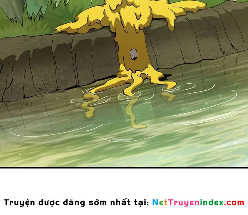 Bắt Đầu Từ Việc Trùng Sinh Thành Niêm Khuẩn Chapter 5 - 13