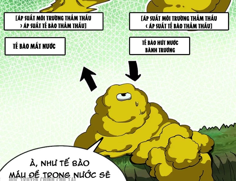 Bắt Đầu Từ Việc Trùng Sinh Thành Niêm Khuẩn Chapter 5 - 18