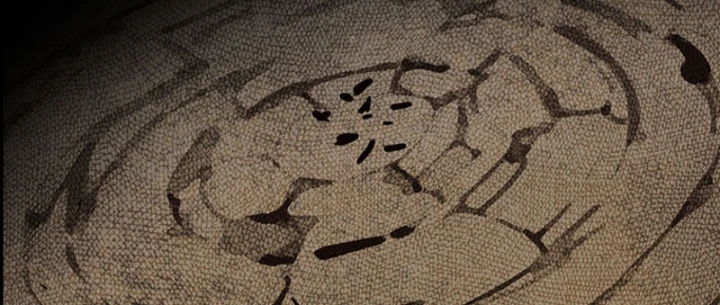 Bắt Đầu Từ Việc Trùng Sinh Thành Niêm Khuẩn Chapter 27 - 270