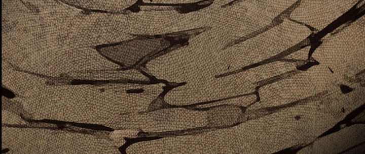 Bắt Đầu Từ Việc Trùng Sinh Thành Niêm Khuẩn Chapter 27 - 271