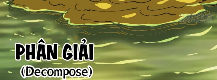 Bắt Đầu Từ Việc Trùng Sinh Thành Niêm Khuẩn Chapter 28 - 70