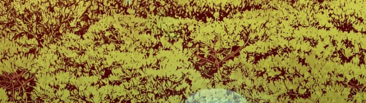 Bắt Đầu Từ Việc Trùng Sinh Thành Niêm Khuẩn Chapter 28 - 344