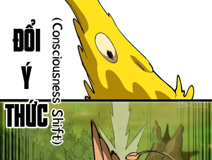 Bắt Đầu Từ Việc Trùng Sinh Thành Niêm Khuẩn Chapter 35 - 35