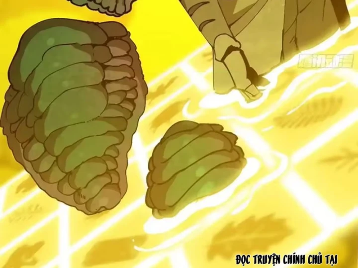 Bắt Đầu Từ Việc Trùng Sinh Thành Niêm Khuẩn Chapter 37 - 5