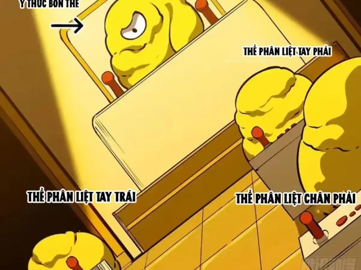 Bắt Đầu Từ Việc Trùng Sinh Thành Niêm Khuẩn Chapter 37 - 41