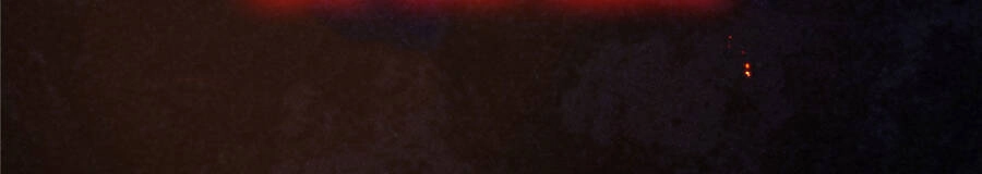 Vương Giả Săn Mồi Chapter 0 - 9