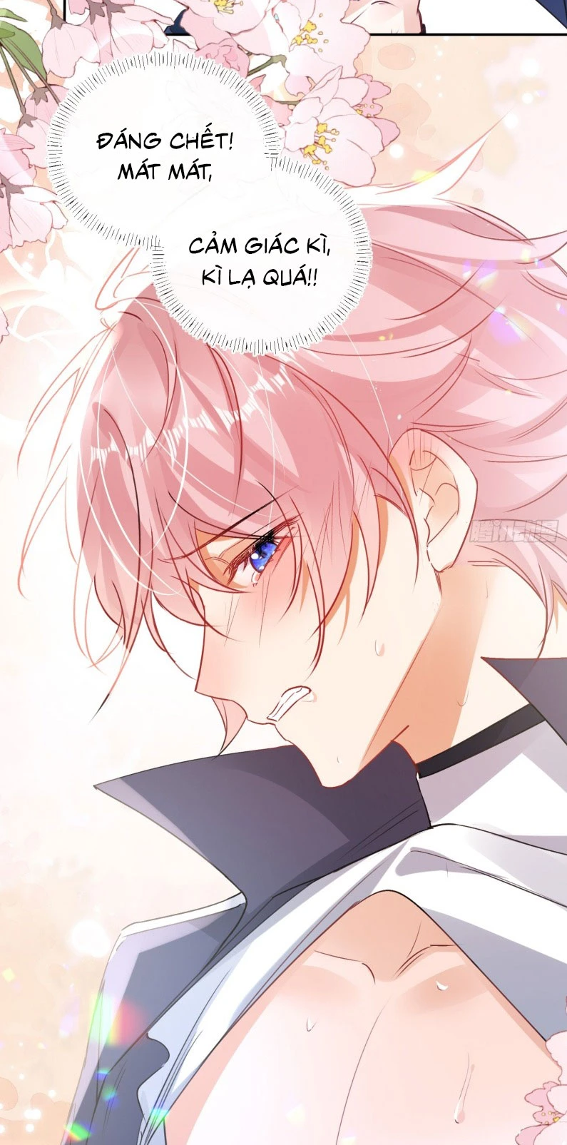 Cả Vũ Trụ Đều Muốn Thân Thiết Với Tôi Chapter 4 - 39