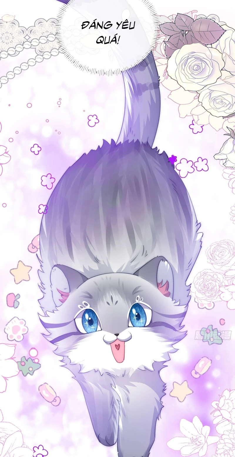 Cả Vũ Trụ Đều Muốn Thân Thiết Với Tôi Chapter 11 - 37