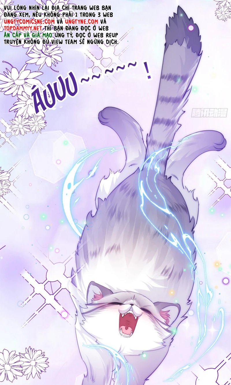 Cả Vũ Trụ Đều Muốn Thân Thiết Với Tôi Chapter 11 - 41