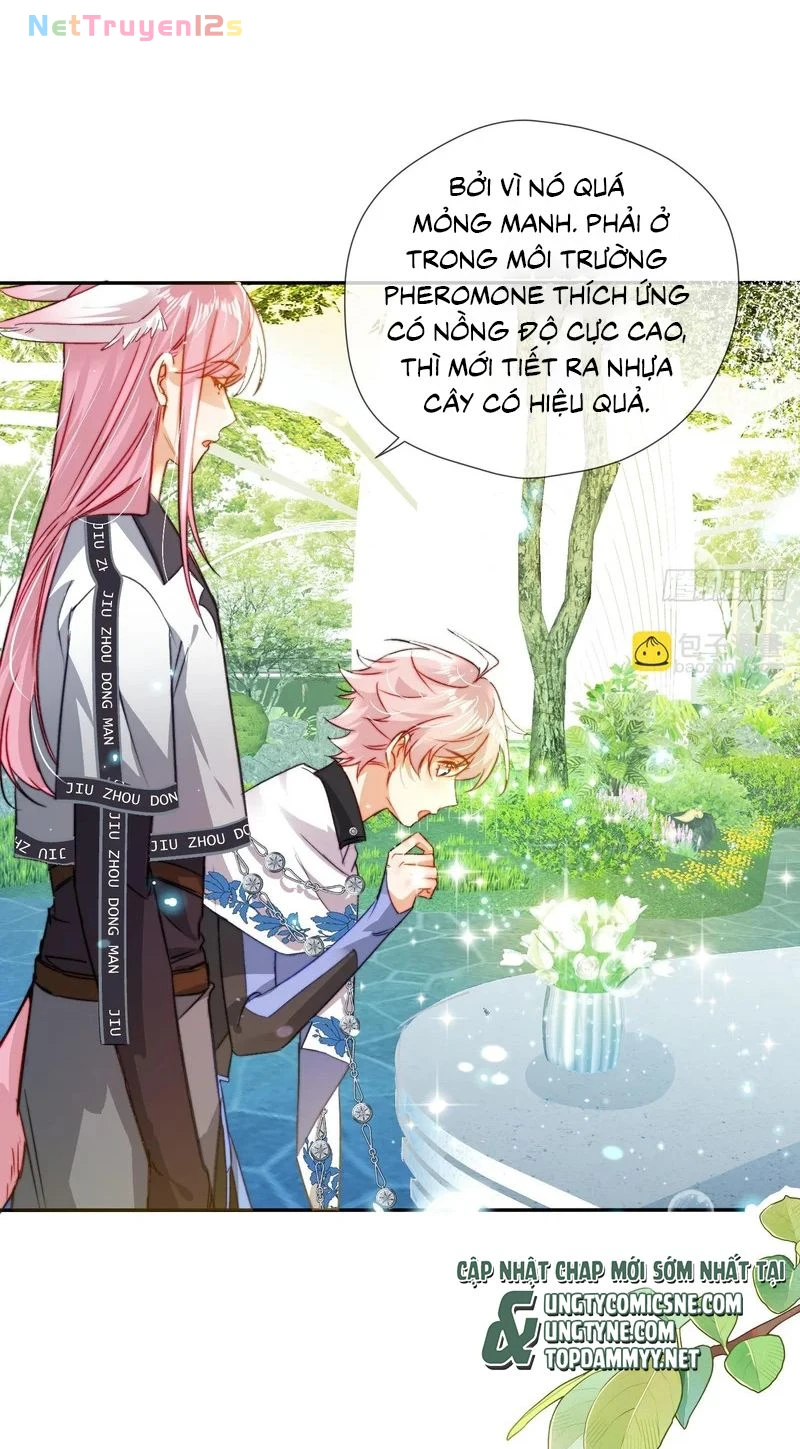 Cả Vũ Trụ Đều Muốn Thân Thiết Với Tôi Chapter 22 - 17