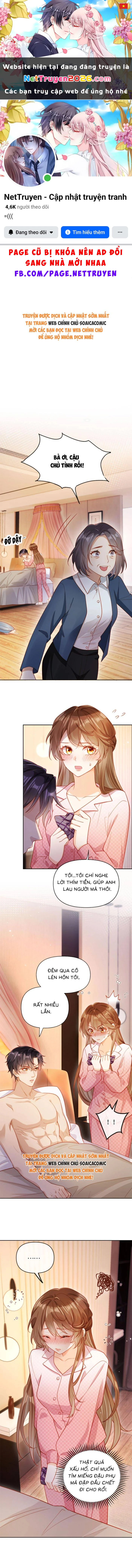 Nụ Hôn Xung Hỉ: Đại Lão Thực Vật Sống Lại Rồi! Chapter 3 - 1