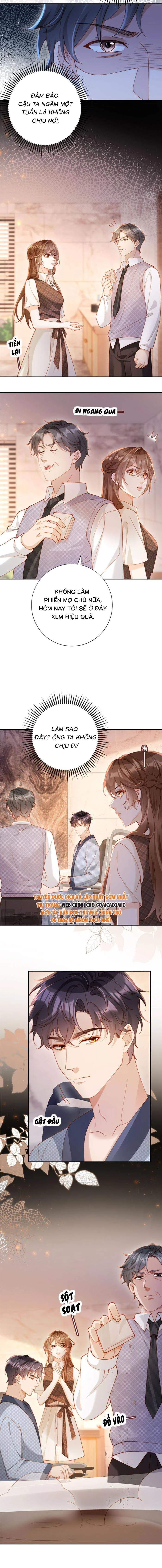 Nụ Hôn Xung Hỉ: Đại Lão Thực Vật Sống Lại Rồi! Chapter 23 - 3