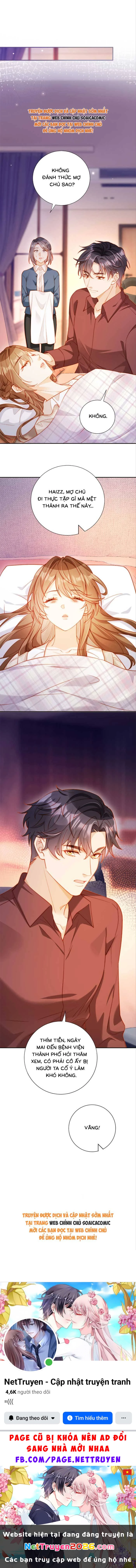 Nụ Hôn Xung Hỉ: Đại Lão Thực Vật Sống Lại Rồi! Chapter 25 - 13