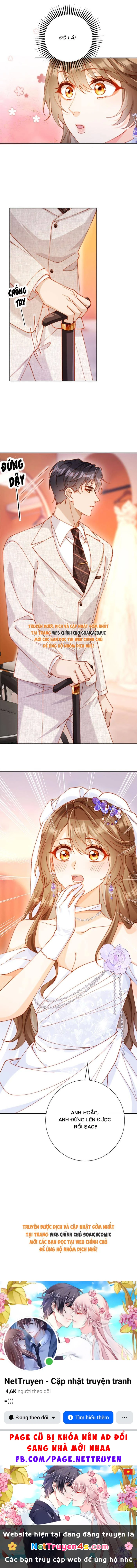 Nụ Hôn Xung Hỉ: Đại Lão Thực Vật Sống Lại Rồi! Chapter 32 - 12