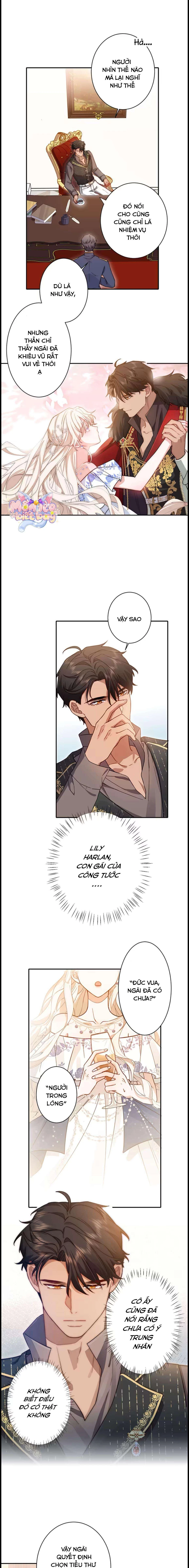 Lần Này, Tôi Sẽ Tránh Cuộc Hôn Nhân Với Anh - Cách Để Rời Xa Anh, Một Người Không Có Tình Yêu Chapter 6 - 4