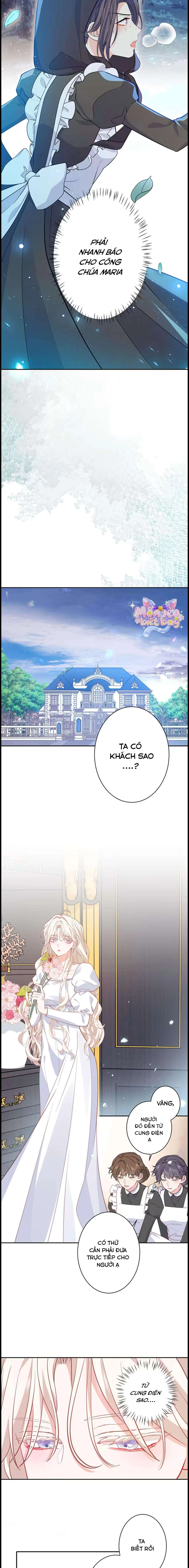 Lần Này, Tôi Sẽ Tránh Cuộc Hôn Nhân Với Anh - Cách Để Rời Xa Anh, Một Người Không Có Tình Yêu Chapter 6 - 12