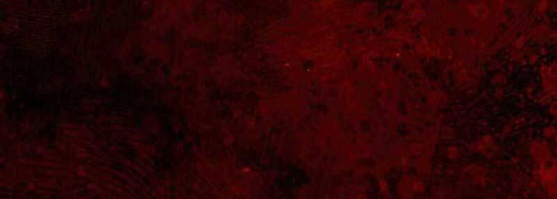 Thiên Quỷ Chẳng Sống Nổi Cuộc Đời Bình Thường Chapter 27 - 267