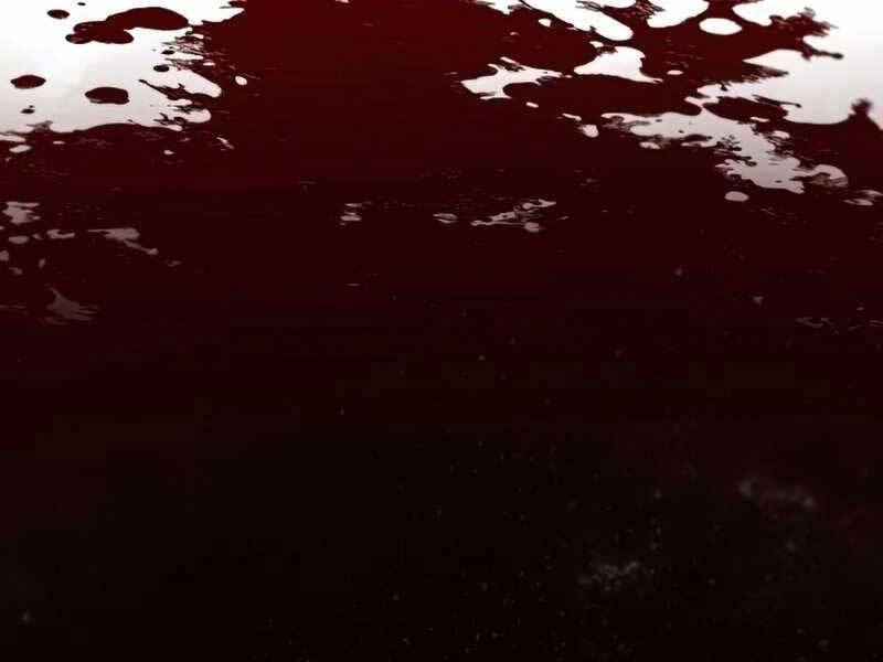 Thiên Quỷ Chẳng Sống Nổi Cuộc Đời Bình Thường Chapter 33 - 207