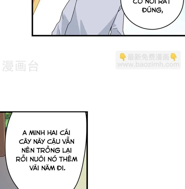 Thần Tàng Chapter 48 - 14