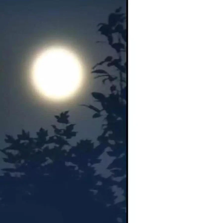 Thần Tàng Chapter 120 - 69