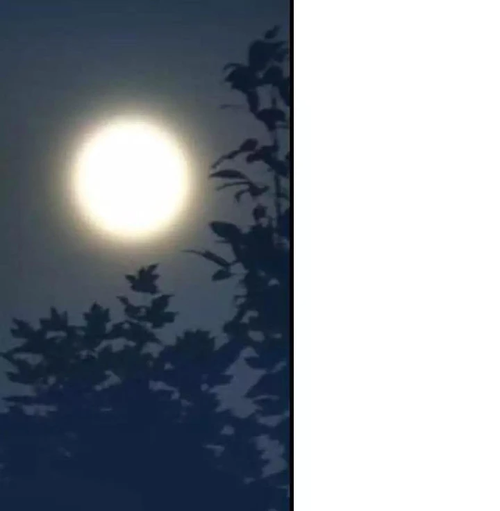Thần Tàng Chapter 120 - 75