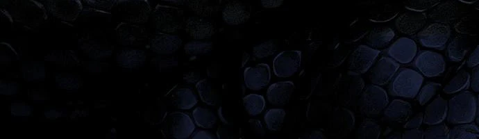 Kiếm Sư Thực Kiếm Chapter 15 - 66