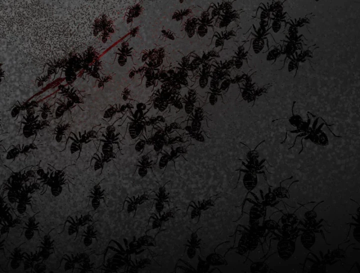 Thiên Hạ Vô Địch, Chuyển Thế Đầu Hàng Địch Chapter 2 - 201