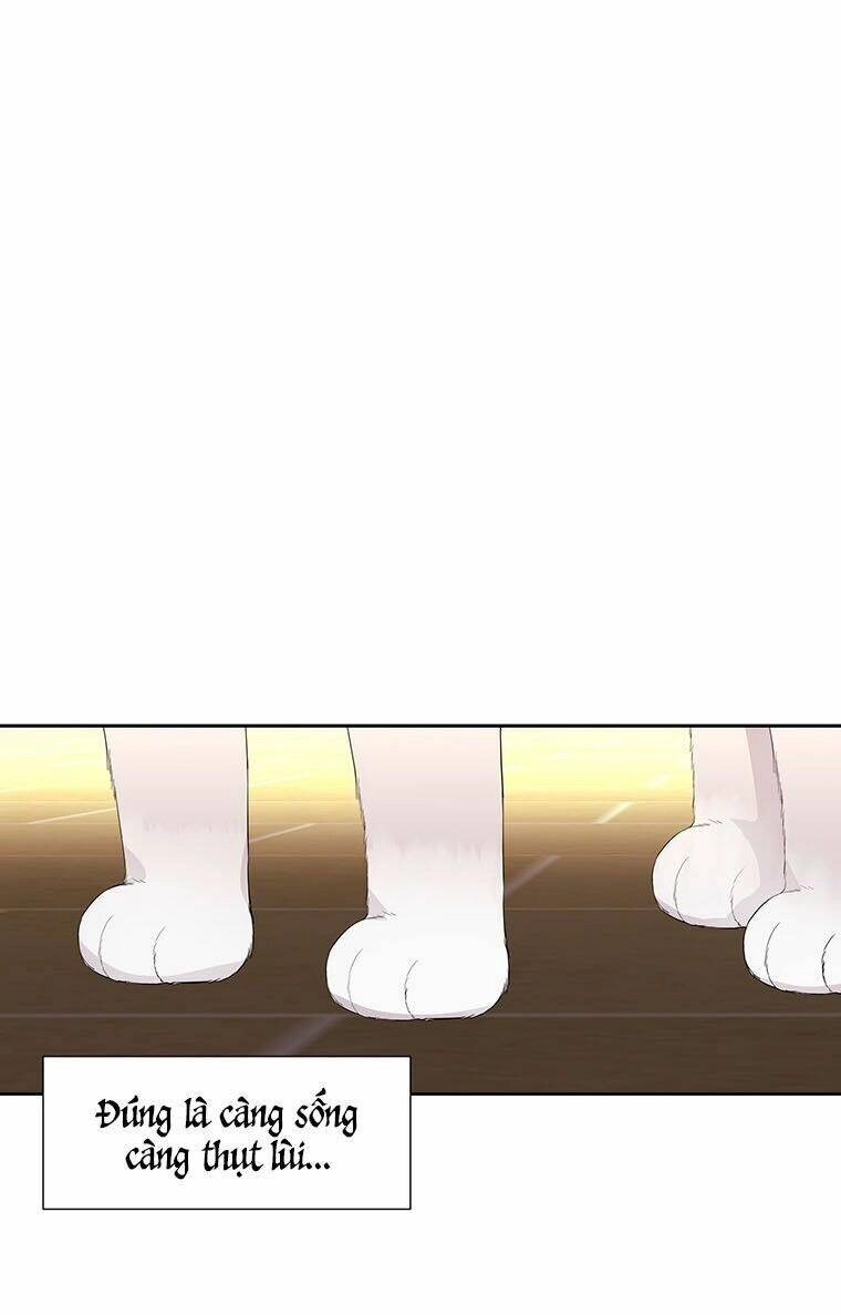 Ngũ Đại Đồ Đệ Của Charlotte Chapter 60 - 42