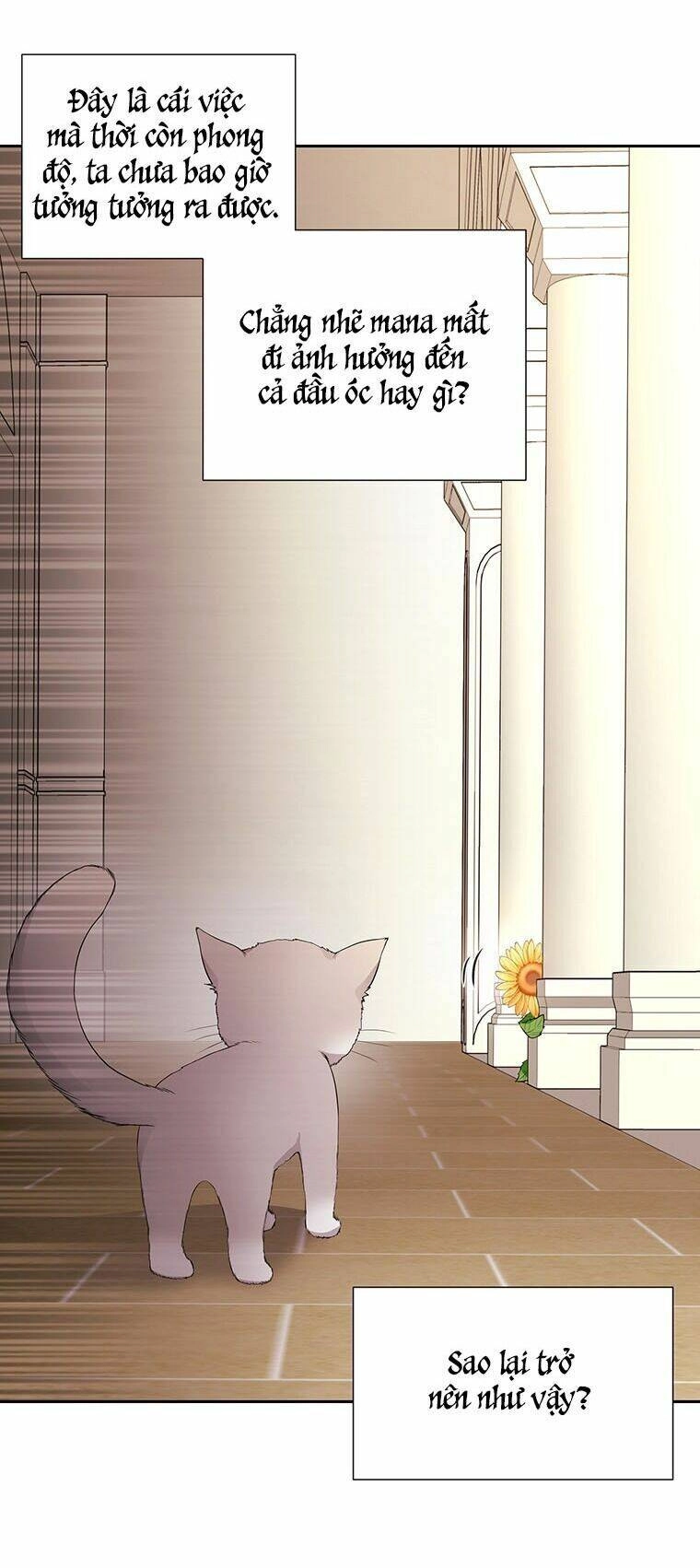 Ngũ Đại Đồ Đệ Của Charlotte Chapter 60 - 44