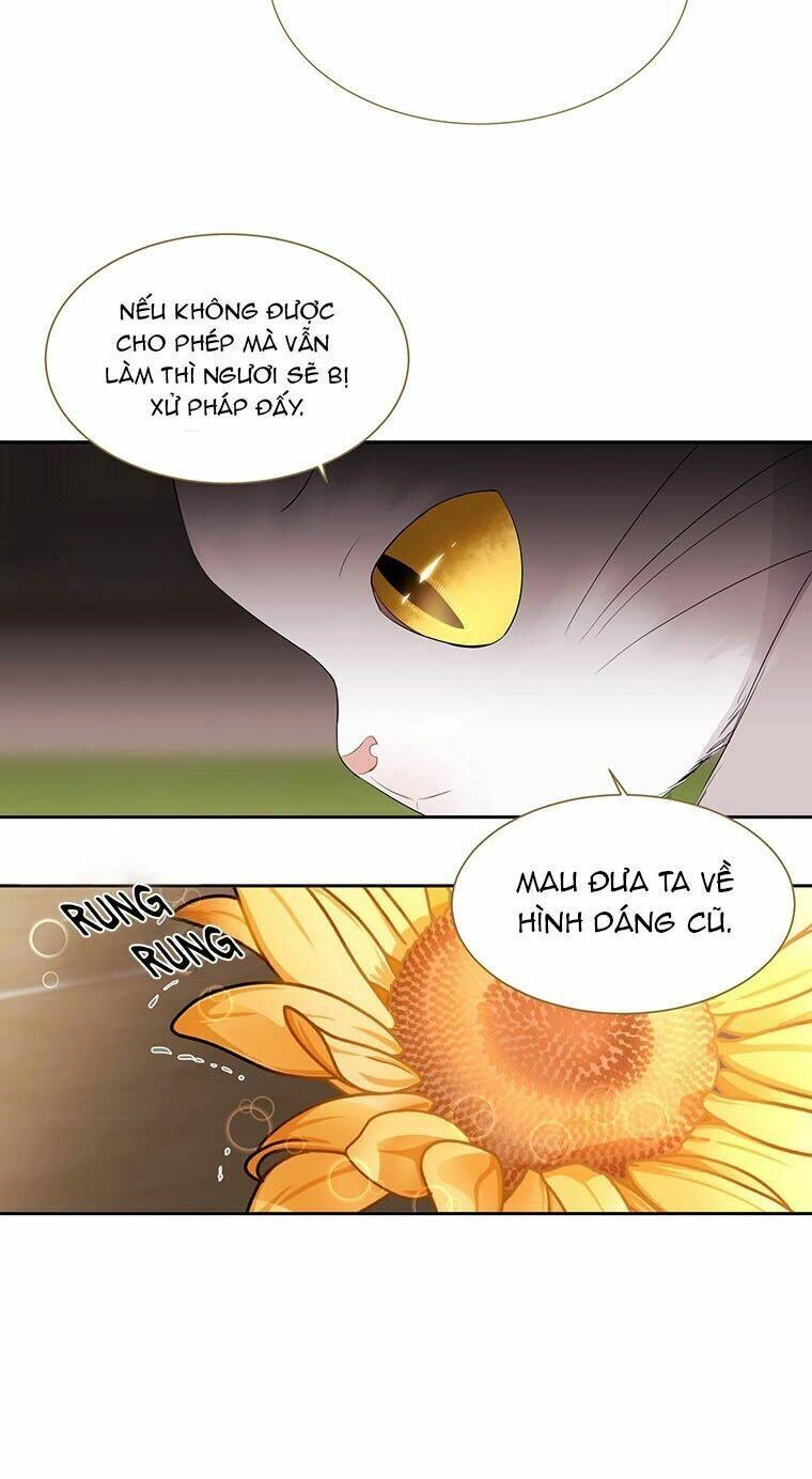 Ngũ Đại Đồ Đệ Của Charlotte Chapter 60 - 48