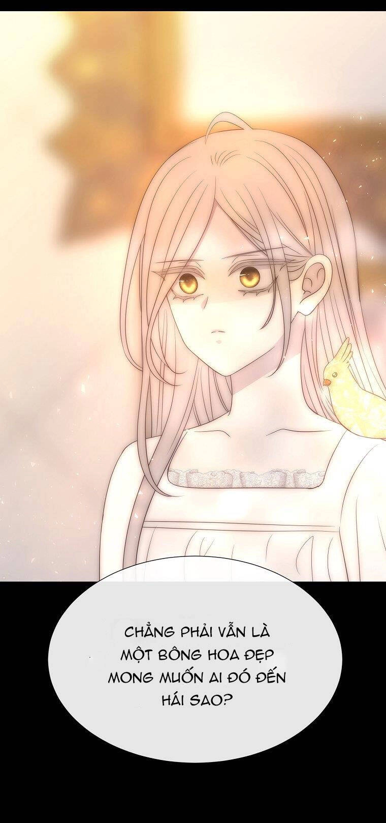 Ngũ Đại Đồ Đệ Của Charlotte Chapter 208.2 - 40