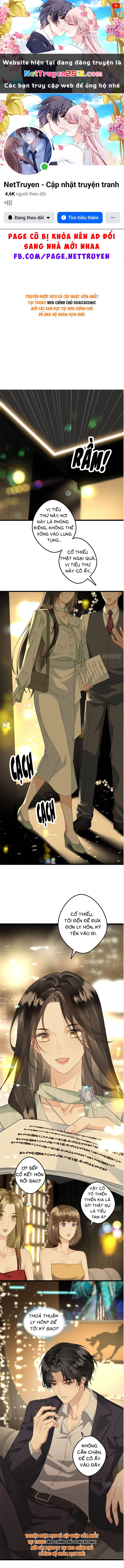 Sau Ly Hôn Chồng Cũ Cứ Muốn Trở Lại Làm Chính Thất Chapter 3 - 1