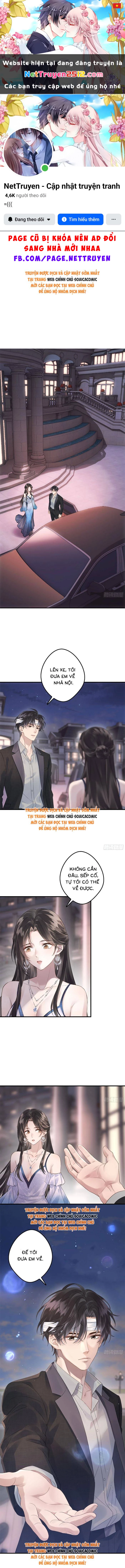 Sau Ly Hôn Chồng Cũ Cứ Muốn Trở Lại Làm Chính Thất Chapter 18 - 1