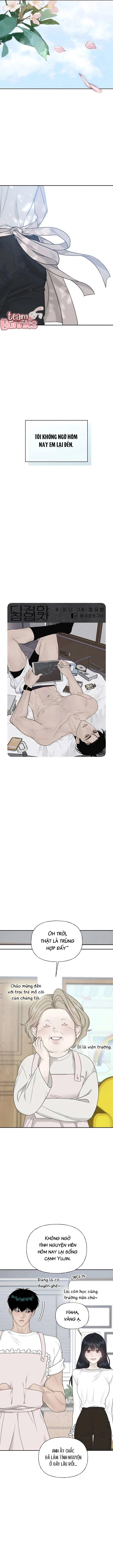 Sự Thâm Nhập Dịu Dàng Chapter 28 - 5