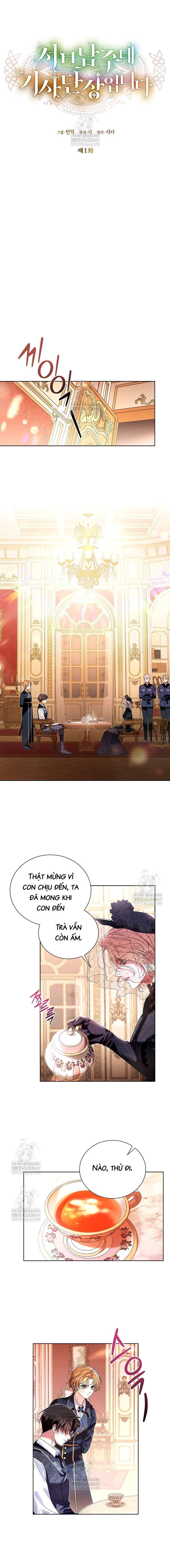 Đoàn Trưởng Kỵ Sĩ Của Nam Phụ Chapter 1 - 9