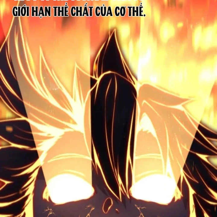 Siêu Trộm Kỹ Năng Cấp Cheat Chapter 27 - 17