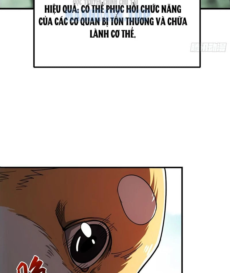 Tối Cường Khí Thiếu Chapter 3 - 43