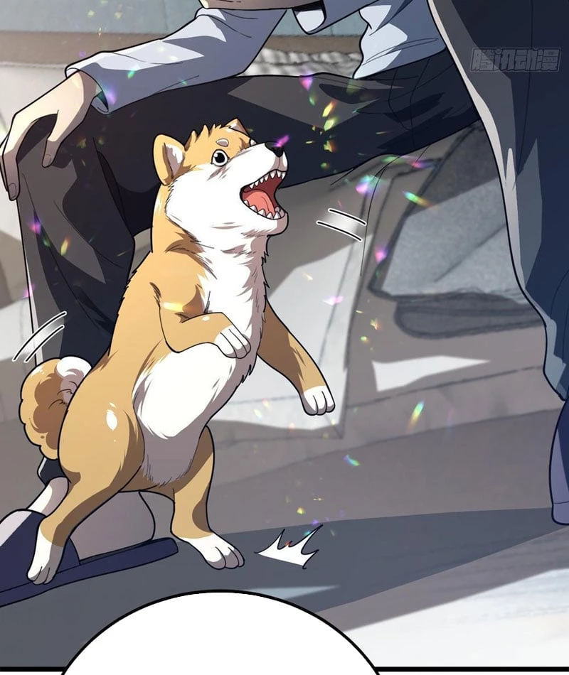 Tối Cường Khí Thiếu Chapter 5 - 13