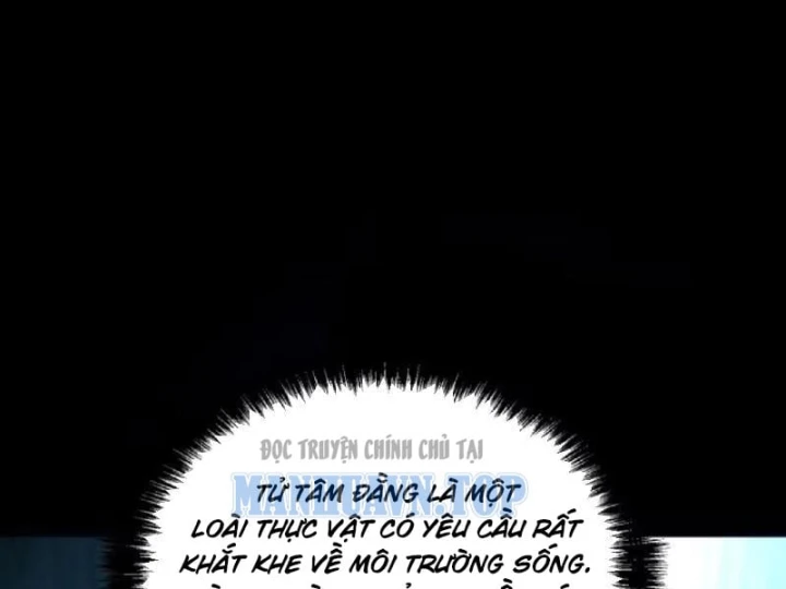 Tối Cường Khí Thiếu Chapter 37 - 55