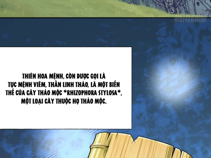 Quang Âm Chi Ngoại Chapter 15 - 34