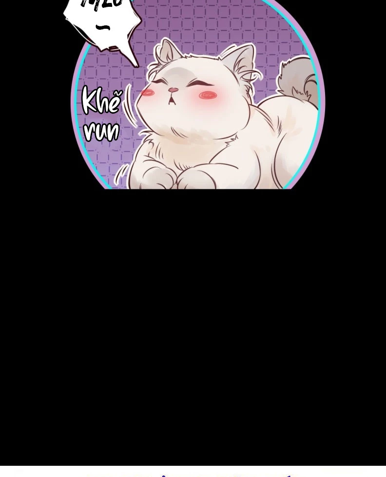 Em Là Phương Thuốc Chữa Lành Của Tôi Chapter 1 - 66