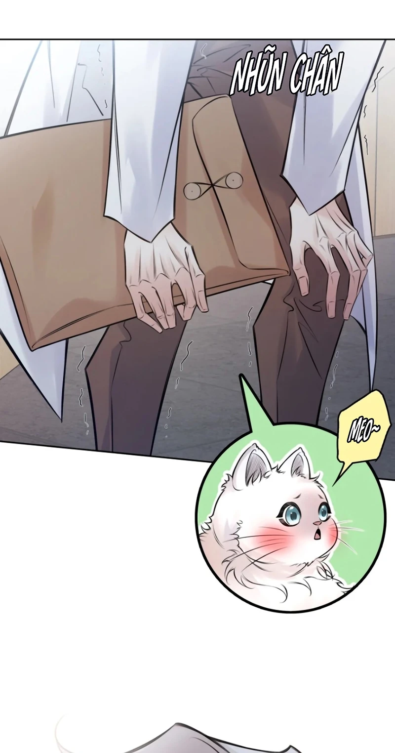 Em Là Phương Thuốc Chữa Lành Của Tôi Chapter 11 - 30