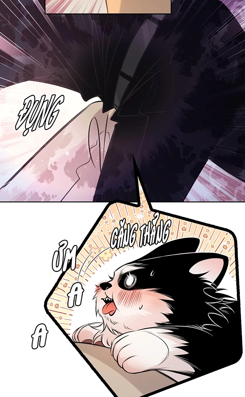 Em Là Phương Thuốc Chữa Lành Của Tôi Chapter 15 - 17