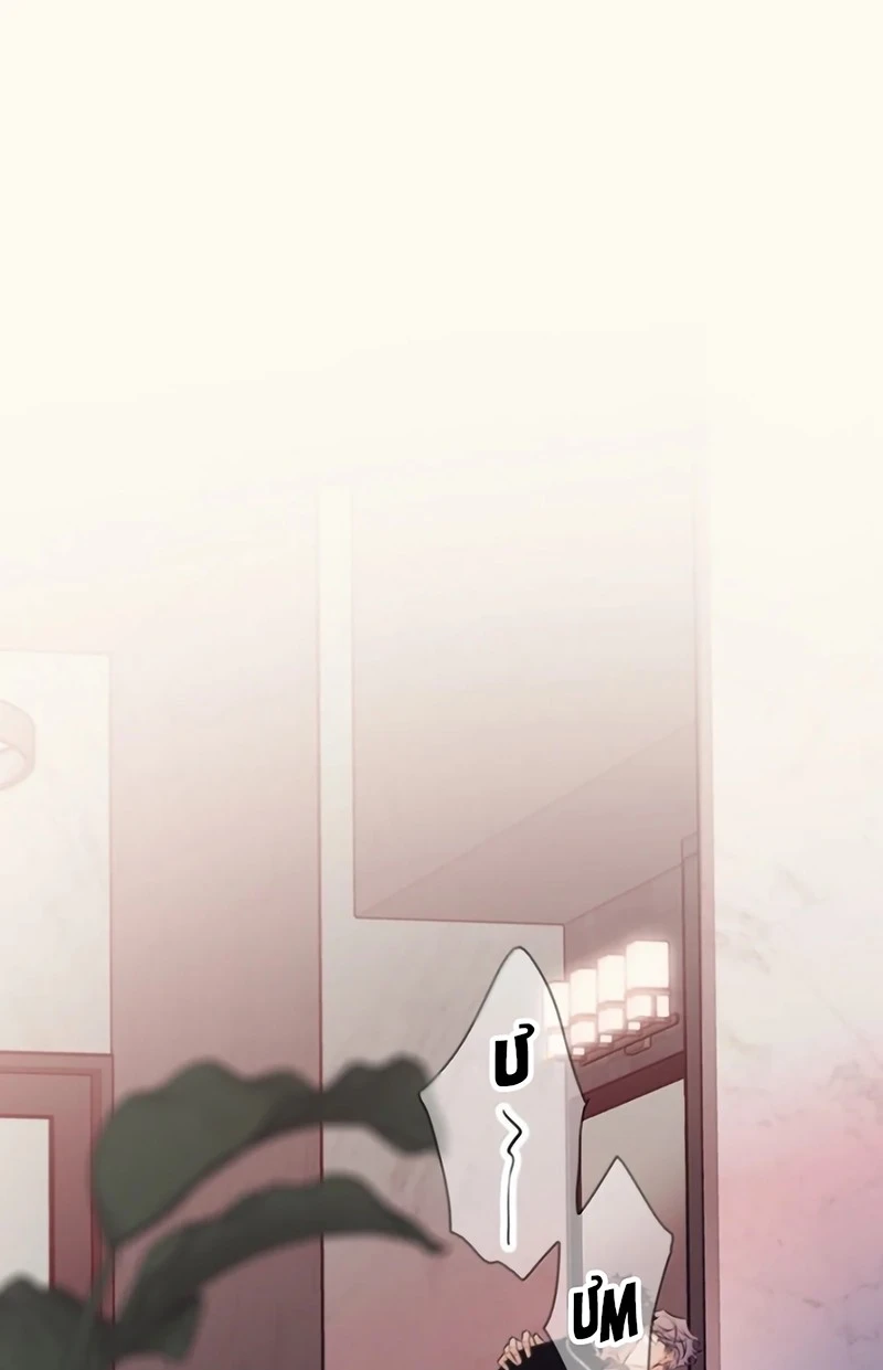 Em Là Phương Thuốc Chữa Lành Của Tôi Chapter 18 - 3