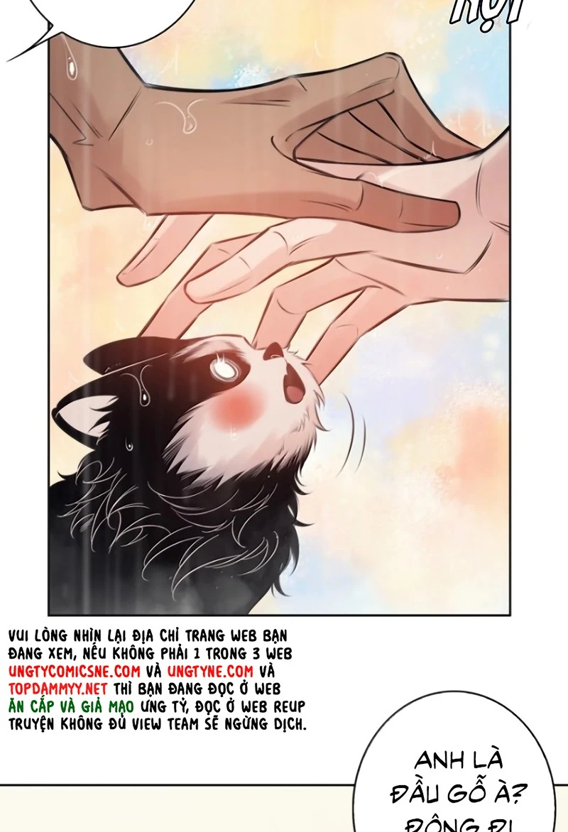 Em Là Phương Thuốc Chữa Lành Của Tôi Chapter 18 - 40