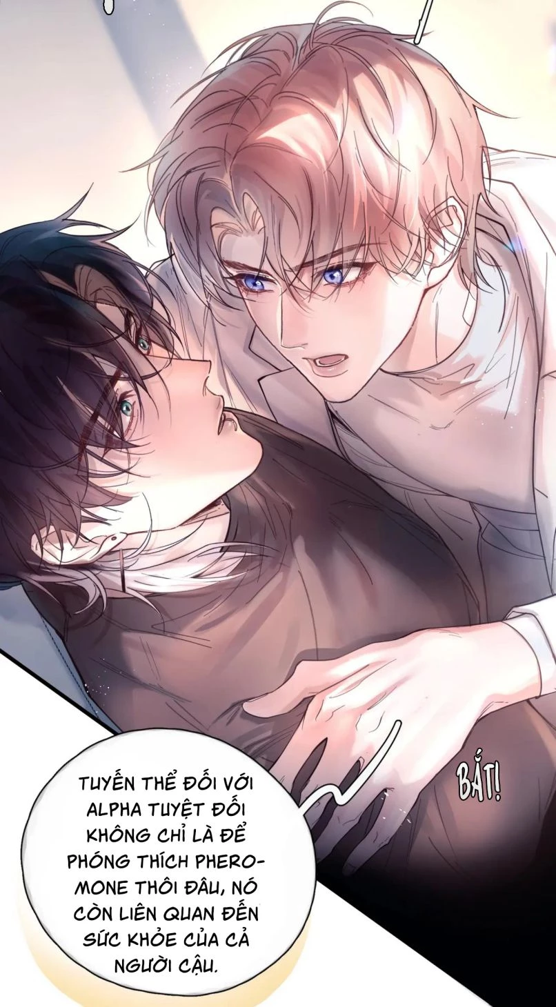 Tinh Vệ Chapter 13 - 19